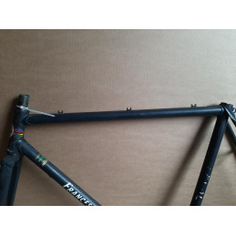 Reynolds 531 decal on the FRANCESCO MOSER steel chassis