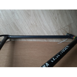Komplette Gabel Moser Reynolds 531