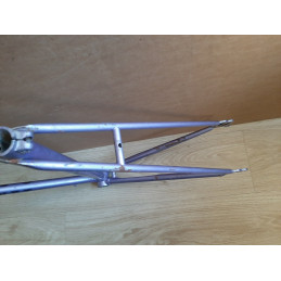 Front head badge and brand marking area of Ginet