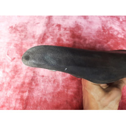 Vintage Italian leather bicycle saddle Sella VD8
