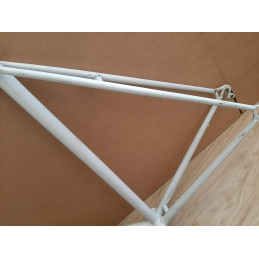 Cadre velo Fourche COLNAGO CAMPAGNOLO columbus 2655g 59*57cm 127mm 36x24FF VD8