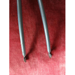 Comparativa de tamaño con regla – 241 mm de longitud