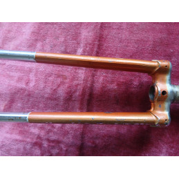 Side view of dropout vintage fork