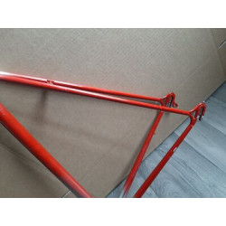 Cuadro Campagnolo Vintage 60.5x58 | Acero Clásico