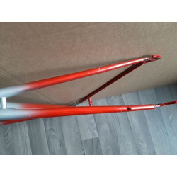 Cuadro Campagnolo Vintage 60.5x58 | Acero Clásico