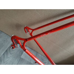 Cuadro Campagnolo Vintage 60.5x58 | Acero Clásico