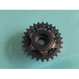 Rear internal mechanism view of vintage SACHS MAILLARD freewheel