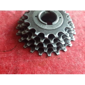 Dentado CYCLO 72 16-24 dientes de acero rosca 34,7x100